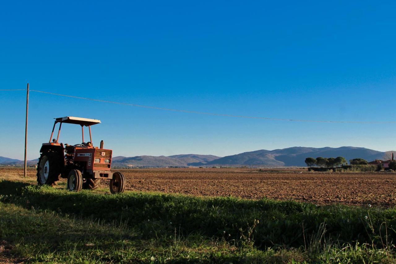 Вілла Agriturismo Poderedodici Орбетелло Екстер'єр фото